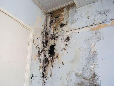 About ReVitalize Group - water damage restoration experts in Savannah